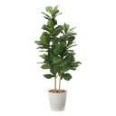 最大100%ポイントバック!限定抽選 光触媒観葉植物 カシワバゴム1.6 〔フロアタイプ(ハイサイズ)〕 フェイクグリーン 人工 観葉植物 インテリア 鉢植 お...