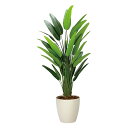 最大100%ポイントバック!限定抽選 光触媒観葉植物 フレッシュトラベラーズパーム1.7 〔フロアタイプ(ハイサイズ)〕 フェイクグリーン 人工観葉植物 インテ...