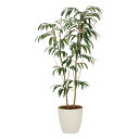 最大100%ポイントバック!限定抽選 光触媒観葉植物 ショウナンゴム1.8 〔フロアタイプ(ハイサイズ)〕 フェイクグリーン 人工 観葉植物 インテリア 鉢植 ...