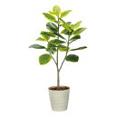 【スーパーSALE10%OFF】光触媒観葉植物 フレッシュアルテシマ1.35 〔フロアタイプ(ハイサイズ)〕 フェイクグリーン 人工 観葉植物 インテリア 鉢植...