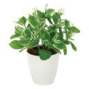 光触媒観葉植物 ピトスポラム 〔テーブルタイプ〕 フェイクグリーン 人工 観葉植物 インテリア 鉢植 おしゃれ アートグリーン 緑 御祝 店舗 オフィス Lサイ...