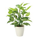 光触媒観葉植物 フレッシュディフェンバキアL 〔テーブルタイプ〕 フェイクグリーン 人工 観葉植物 インテリア 鉢植 おしゃれ アートグリーン 緑 御祝 店舗 ...