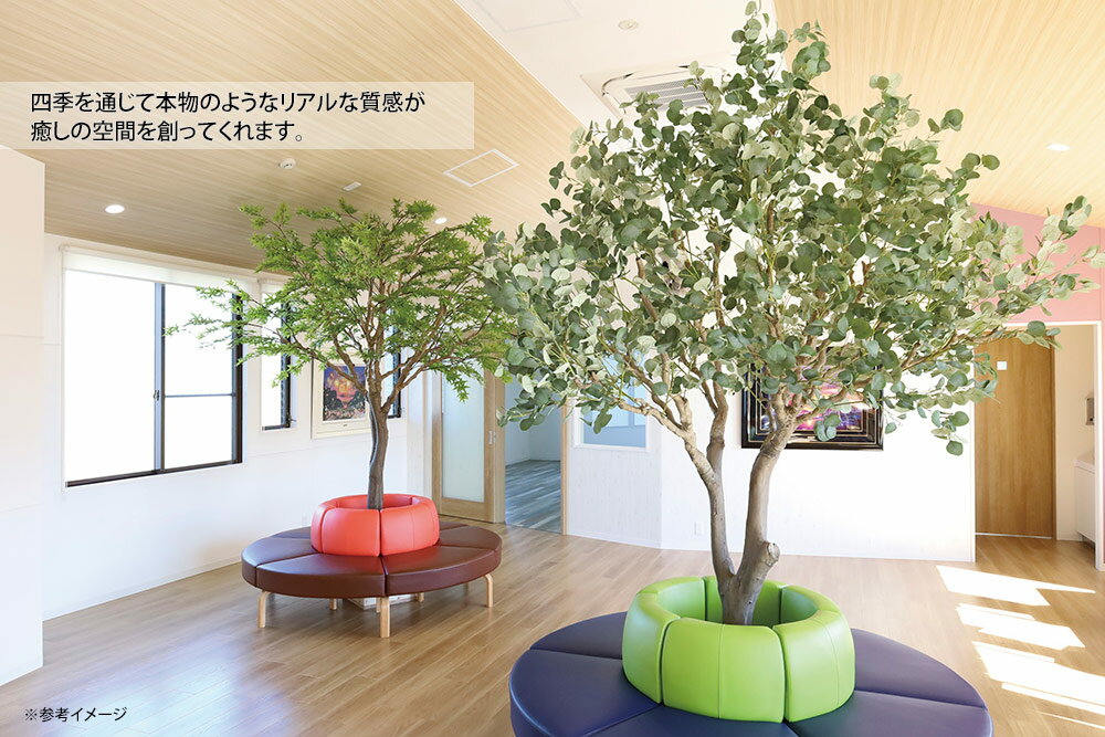 光触媒観葉植物 ユ―カリ3.2(組立式) 〔フ...の紹介画像2