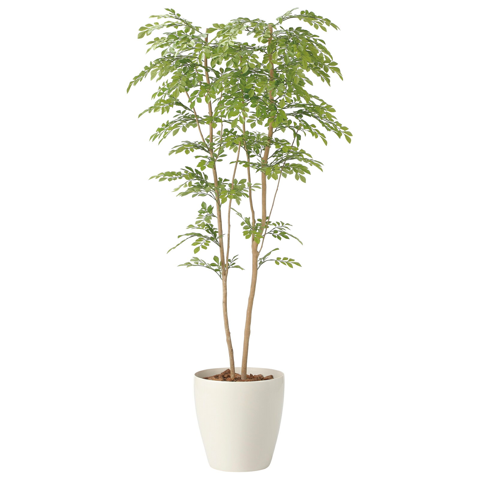 光触媒観葉植物 ライトトネリコ 1.8 フェイクグリーン 人工 植物 インテリア 鉢植 おしゃれ 枯れない アートグリーン 緑 御祝 店舗 オフィス 5Lサイズ