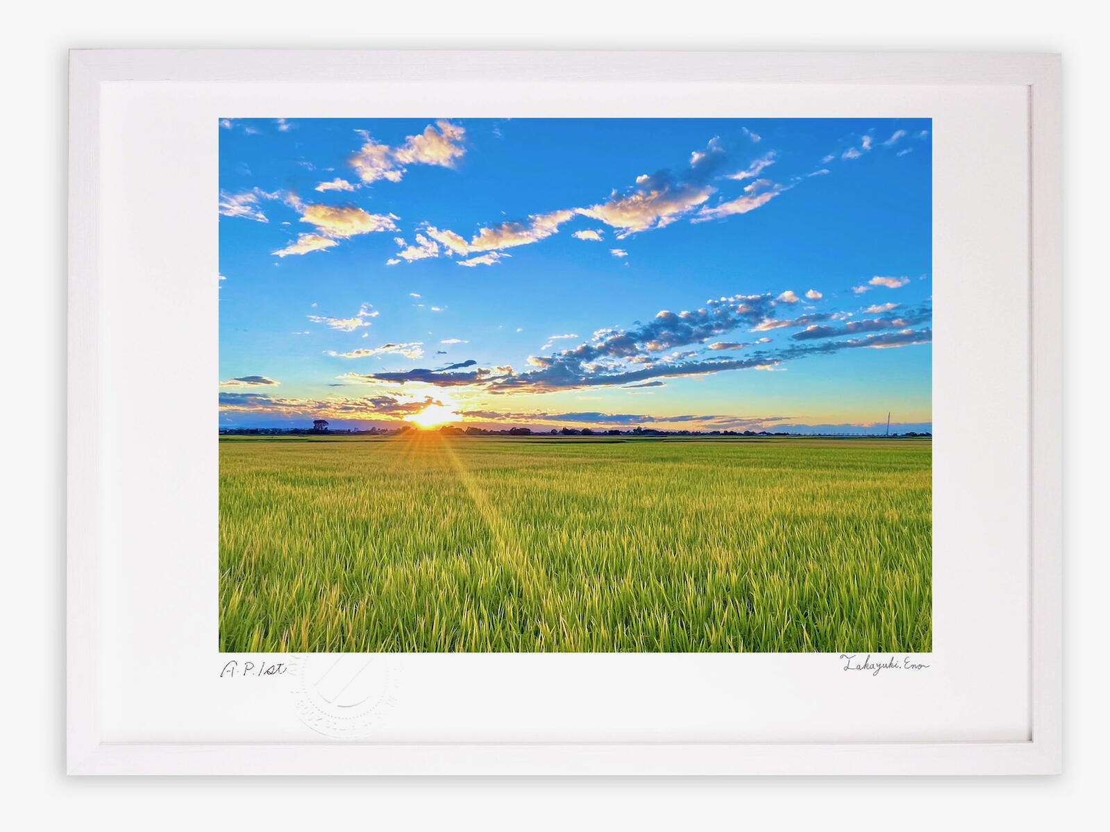 【スーパーSALE半額】版画 絵画 希望、太陽とみどり/朝焼け 夕焼け 夕日 アートフォト インテリア 額入り 額装込 風景画 油絵 ポスター アート アートパ...