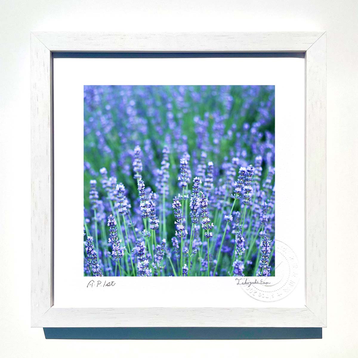【スーパーSALE半額】版画 絵画 青紫のラベンダー インテリア 額入り 額装込 風景画 油絵 ポスター アート アートパネル リビング 玄関 プレゼント モダ...