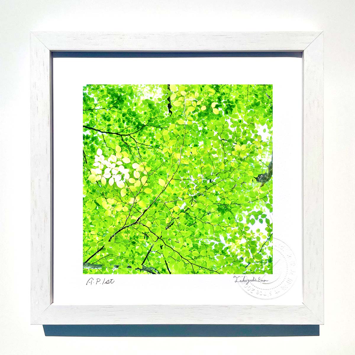 【スーパーSALE半額】版画 絵画 こもれびのスポットライト インテリア 額入り 額装込 風景画 油絵 ポスター アート アートパネル リビング 玄関 プレゼン...