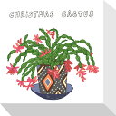 最大100%ポイントバック!限定抽選 絵画 ホームプランツ 家庭用植物 ミニ パネル CHIRISMAS CACTUS キリスマサボテン プレゼント 飾る アー...