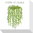 最大100%ポイントバック!限定抽選 絵画 ホームプランツ 家庭用植物 ミニ パネル STRING OF ペア 洋梨LS プレゼント 飾る アート おしゃれ 壁...