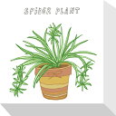 最大100%ポイントバック!限定抽選 絵画 ホームプランツ 家庭用植物 ミニ パネル スパイダープラント プレゼント 飾る アート おしゃれ 壁掛け 絵