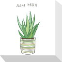 最大100%ポイントバック!限定抽選 絵画 ホームプランツ 家庭用植物 ミニ パネル アロエベラ プレゼント 飾る アート おしゃれ 壁掛け 絵