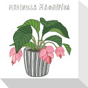 最大100%ポイントバック!限定抽選 絵画 ホームプランツ 家庭用植物 ミニ パネル メディニラ・マグニフィカ プレゼント 飾る アート おしゃれ 壁掛け 絵
