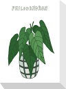 最大100%ポイントバック!限定抽選 絵画 ホームプランツ 家庭用植物 ミニ パネル フィオデンドロン プレゼント 飾る アート おしゃれ 壁掛け 絵