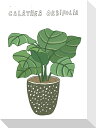 最大100%ポイントバック!限定抽選 絵画 ホームプランツ 家庭用植物 ミニ パネル カラテアオルビフォリア プレゼント 飾る アート おしゃれ 壁掛け 絵