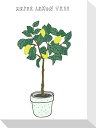 最大100%ポイントバック!限定抽選 絵画 ホームプランツ 家庭用植物 ミニ パネル メイヤーレモンの木 プレゼント 飾る アート おしゃれ 壁掛け 絵