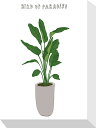 最大100%ポイントバック!限定抽選 絵画 ホームプランツ 家庭用植物 ミニ パネル パラディの鳥 プレゼント 飾る アート おしゃれ 壁掛け 絵