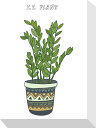 最大100%ポイントバック!限定抽選 絵画 ホームプランツ 家庭用植物 ミニ パネル ZZプラント プレゼント 飾る アート おしゃれ 壁掛け 絵