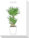 最大100%ポイントバック!限定抽選 絵画 ホームプランツ 家庭用植物 ミニ パネル YUCCA ユッカ プレゼント 飾る アート おしゃれ 壁掛け 絵