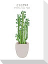 最大100%ポイントバック!限定抽選 絵画 ホームプランツ 家庭用植物 ミニ パネル CACTUS カクタス サボテン プレゼント 飾る アート おしゃれ 壁掛...