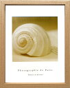 【スーパーSALE10%OFF】【アートフレーム】【ゆうパケット】 フレンチ フォトグラフィー シェル(貝殻)/インテリア 壁飾り 額入り アート リビング 玄...
