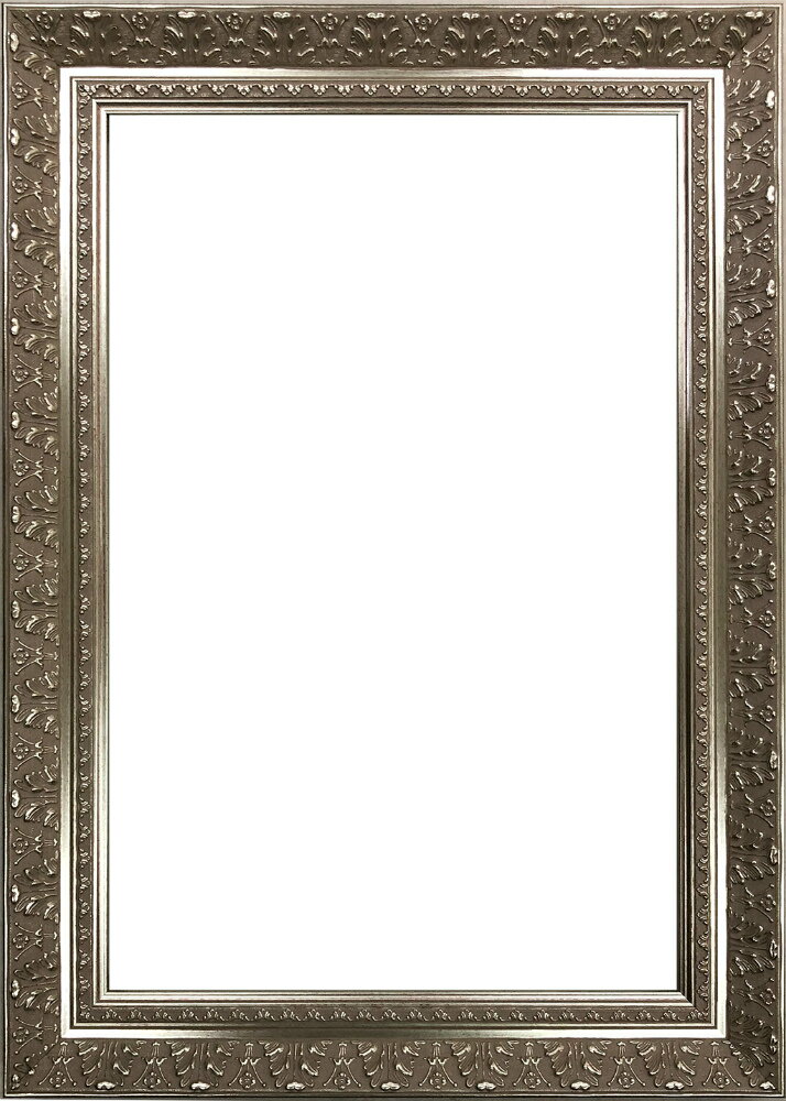 フレーム ディスプレイフレーム シルバー Lサイズ (Silver L-size)/額入り 額装込 風景画 絵画 絵 壁掛け アート リビング 玄関 トイレ イ...