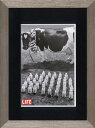 アートフレーム ゆうパケット LIFE A Cow with Her Milk(ライフ ア カウ ウィズ ハー ミルク(牛とミルク))/額装込 風景画 絵画 ア...