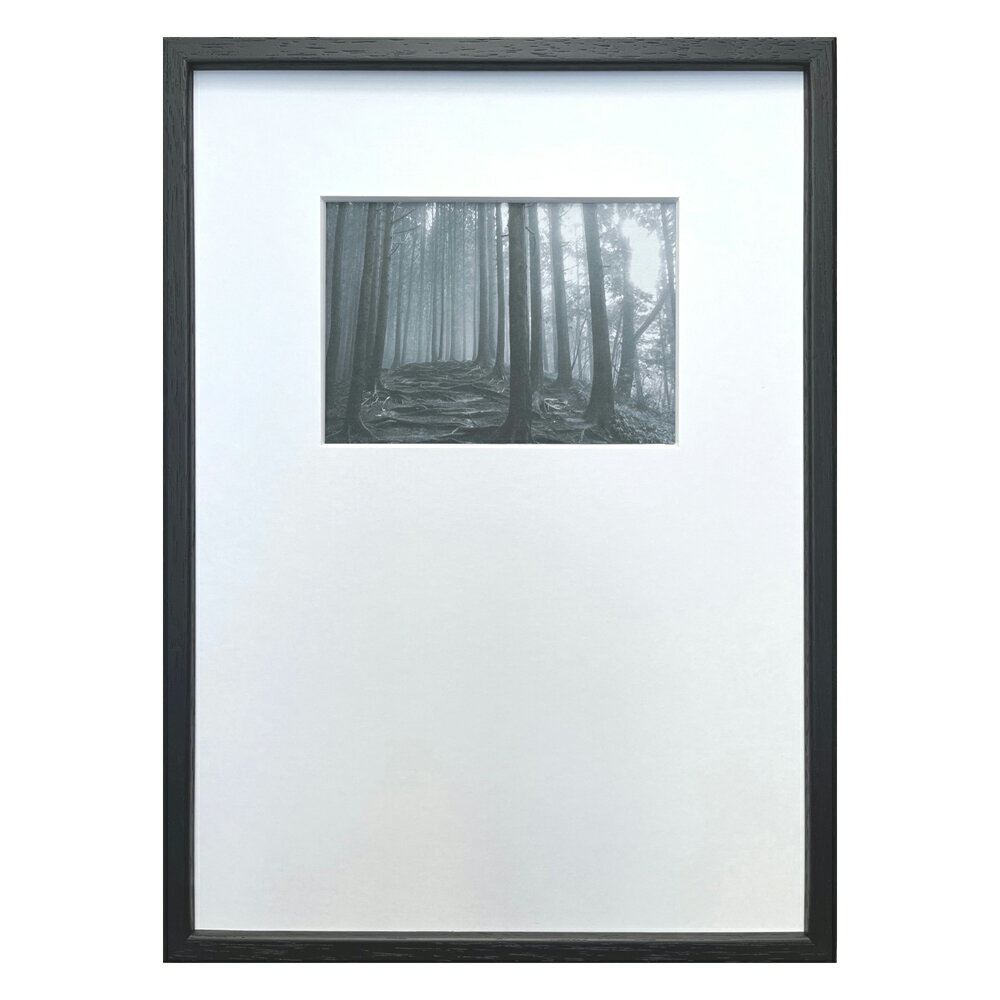 【スーパーSALE10%OFF】絵画 Photography art Forest(森) インテリア 壁飾り 写真 木 フォレスト 写真 額付き モノクロ アー...