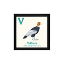 最大100%ポイントバック!限定抽選 絵画 アニマルアルファベット Vulture(ハゲワシ) インテリア かわいい 動物 額付き カラフル フレーム ギフト ...