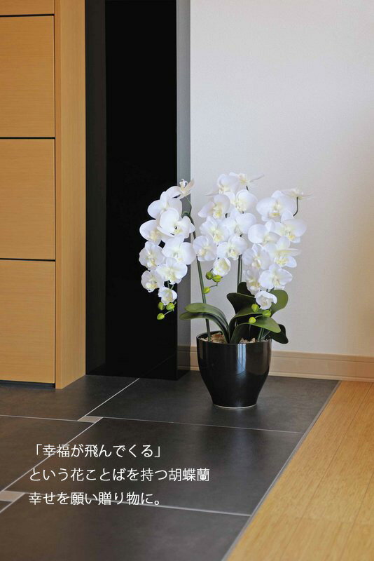 アートフラワー 造花 エンジェル胡蝶蘭L/光触媒〔フロアタイプ〕/光触媒 観葉植物 ウンベラータ フェイクグリーン 花 胡蝶蘭 開店祝い 開業祝い 誕生祝い 造花 アートフレーム おしゃれ 飾る 3Lサイズ 2