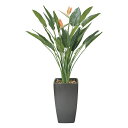 最大100%ポイントバック!限定抽選 光触媒観葉植物 アートストレチア花付1.8〔フロアタイプ(ハイサイズ)〕/光触媒 観葉植物 ウンベラータ フェイクグリーン...