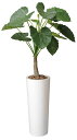 最大100%ポイントバック!限定抽選 光触媒観葉植物 アートくわず芋1.8〔フロアタイプ(ハイサイズ)〕/光触媒 観葉植物 ウンベラータ フェイクグリーン 花 ...
