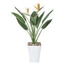 最大100%ポイントバック!限定抽選 光触媒観葉植物 ストレチア花付きS1.0〔フロアタイプ(ミドルサイズ)〕/光触媒 観葉植物 ウンベラータ フェイクグリーン...