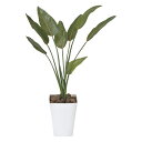 光触媒観葉植物 ストレチア1.1〔フロアタイプ(ミドルサイズ)〕/光触媒 観葉植物 ウンベラータ フェイクグリーン 花 胡蝶蘭 開店祝い 開業祝い 誕生祝い 造...