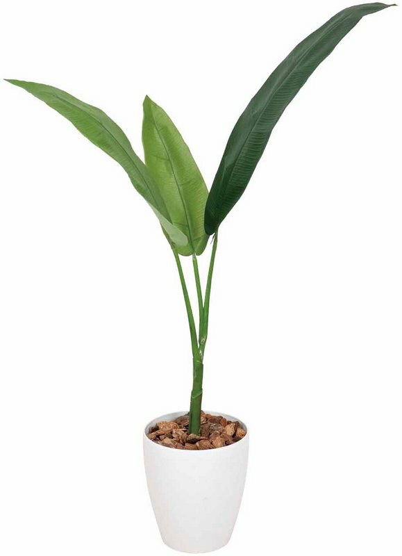 光触媒観葉植物 トラベラーズパーム1.1〔フロアタイプ(ミドルサイズ)〕/光触媒 観葉植物 ウンベラ