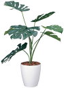 光触媒観葉植物 モンステラ90〔フロアタイプ(ミドルサイズ)〕/光触媒 観葉植物 ウンベラータ フェイクグリーン 花 胡蝶蘭 開店祝い 開業祝い 誕生祝い 造花 アートフレーム おしゃれ 飾る 5Lサイズ
