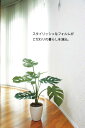 光触媒観葉植物 ブルーベリーベア〔テーブルタイプ〕/光触媒 観葉植物 ウンベラータ フェイクグリーン 花 胡蝶蘭 開店祝い 開業祝い 誕生祝い 造花 アートフレーム おしゃれ 飾る Lサイズ 2