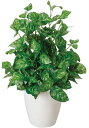 最大100%ポイントバック!限定抽選 光触媒観葉植物 ピーコック〔テーブルタイプ〕/光触媒 観葉植物 ウンベラータ フェイクグリーン 花 胡蝶蘭 開店祝い 開業...