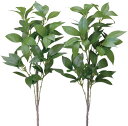 最大100%ポイントバック!限定抽選 光触媒仏花 シキミ2本セット/光触媒 観葉植物 ウンベラータ フェイクグリーン 花 胡蝶蘭 開店祝い 開業祝い 誕生祝い ...
