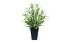 最大100%ポイントバック!限定抽選 光触媒観葉植物 ツートンスパイダー〔テーブルタイプ〕/光触媒 観葉植物 ウンベラータ フェイクグリーン 花 胡蝶蘭 開店祝...