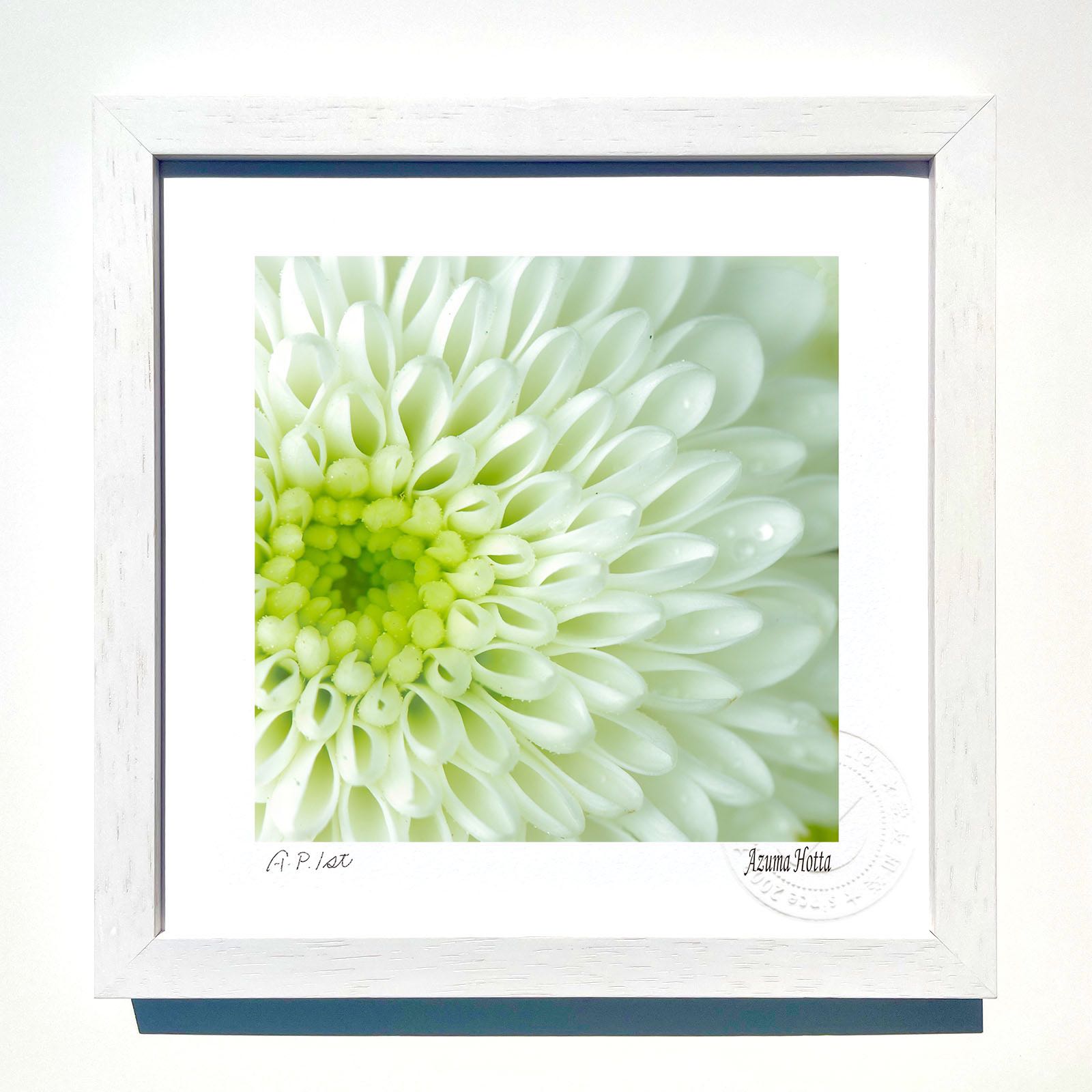 【スーパーSALE半額】版画 絵画ピンポンマム01/インテリア 額入り 額装込 風景画 油絵 ポスター アート アートパネル リビング 玄関 プレゼント モダン...