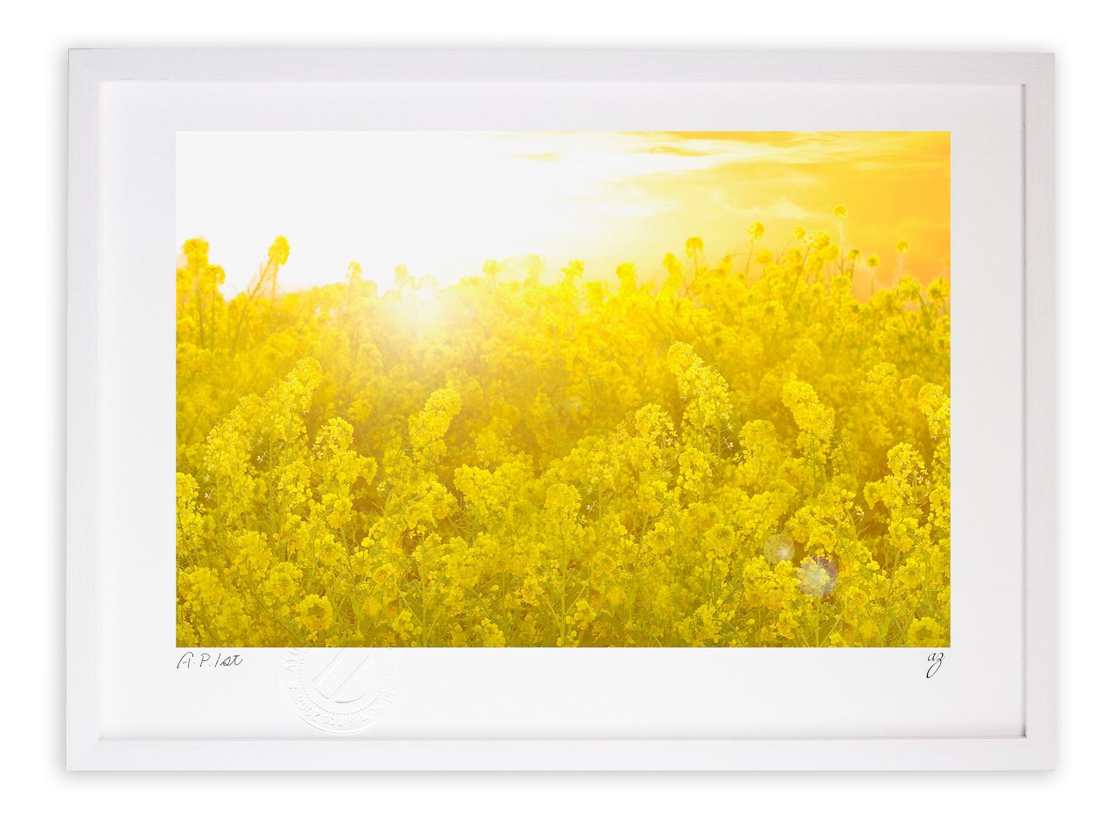 【スーパーSALE半額】版画 絵画菜の花畑と太陽01/インテリア 額入り 額装込 風景画 油絵 ポスター アート アートパネル リビング 玄関 プレゼント モダ...