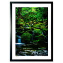 【抽選ポイント100%バック】版画 苔むしる沢 (峰央)インテリア 壁掛け 額入り 風景画 ポスター アート リビング 玄関に飾る 風水 プレゼント モダン ア...