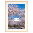 【抽選ポイント100%バック】版画 桜の額縁 (Takuyan_cancellara)インテリア 壁掛け 額入り 風景画 ポスター アート リビング 玄関に飾る...