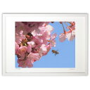 【抽選ポイント100%バック】版画 河津桜とミツバチ (nobu)インテリア 壁掛け 額入り 風景画 ポスター アート リビング 玄関に飾る 風水 プレゼント ...