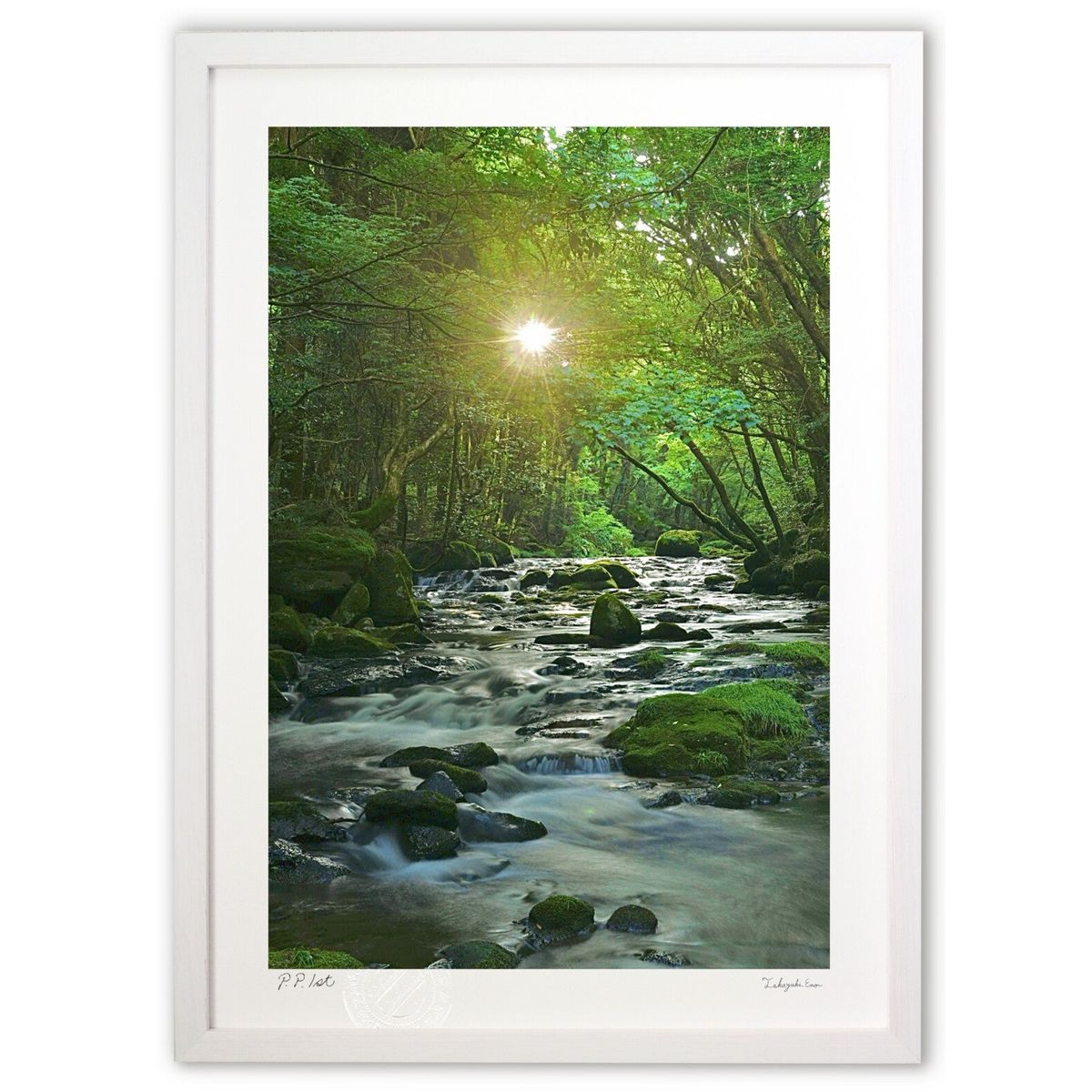 ǲ żν (mitan)ƥꥢ ɳݤ  ʲ ݥ  ӥ ؤ˾  ץ쥼  ȥե졼