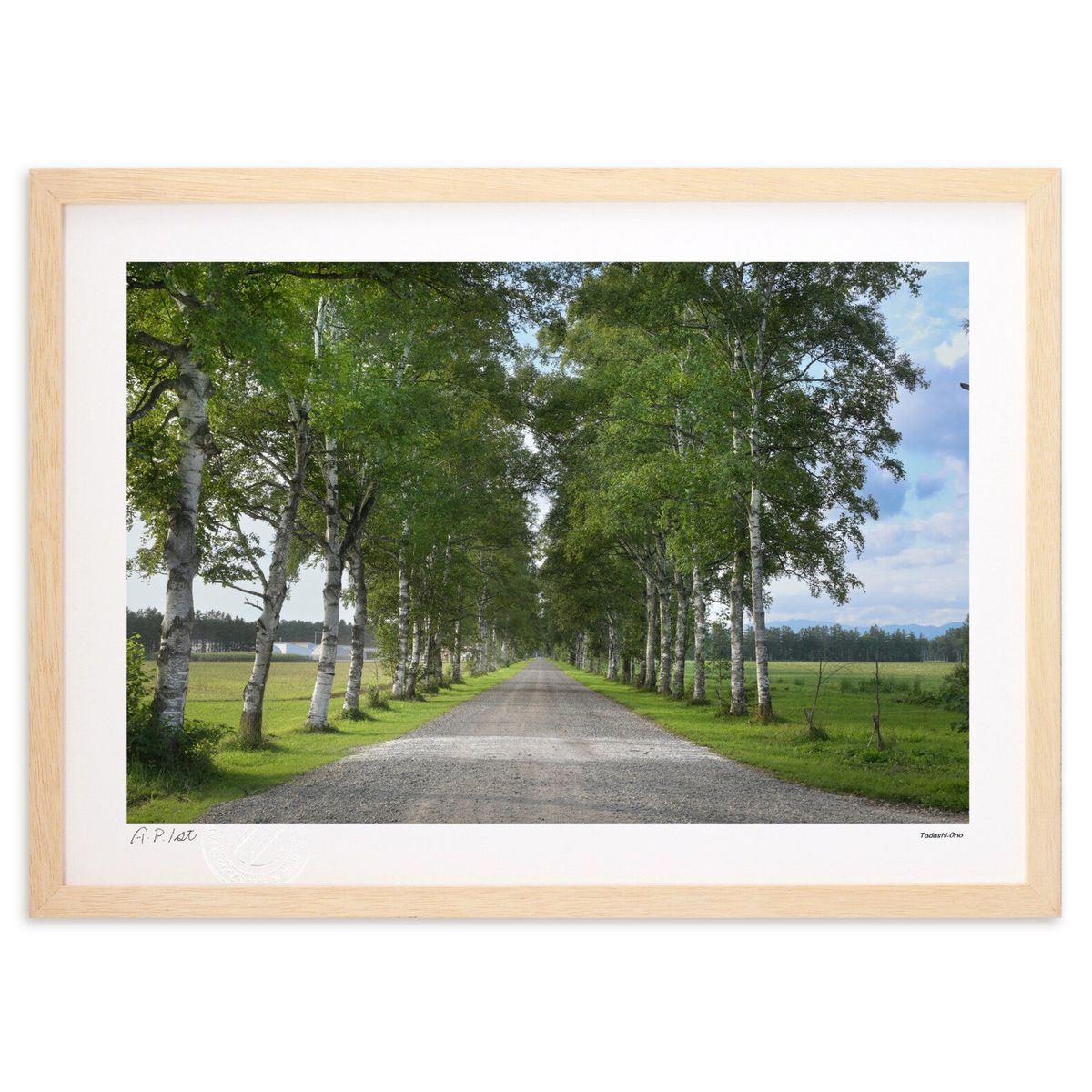 【スーパーSALE半額】版画 白樺並木 (小野 忠)インテリア 壁掛け 額入り 風景画 ポスター アート リビング 玄関に飾る 風水 プレゼント モダン アート...