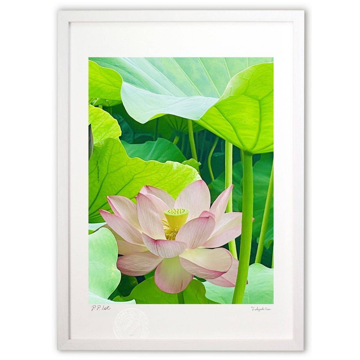 【スーパーSALE半額】版画 優しい光の中 (yurika)インテリア 壁掛け 額入り 風景画 ポスター アート リビング 玄関に飾る 風水 プレゼント モダン...