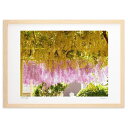 【スーパーSALE半額】版画 午前9時の藤棚 (スノーバニラ)インテリア 壁掛け 額入り 風景画 ポスター アート リビング 玄関に飾る 風水 プレゼント モダ...