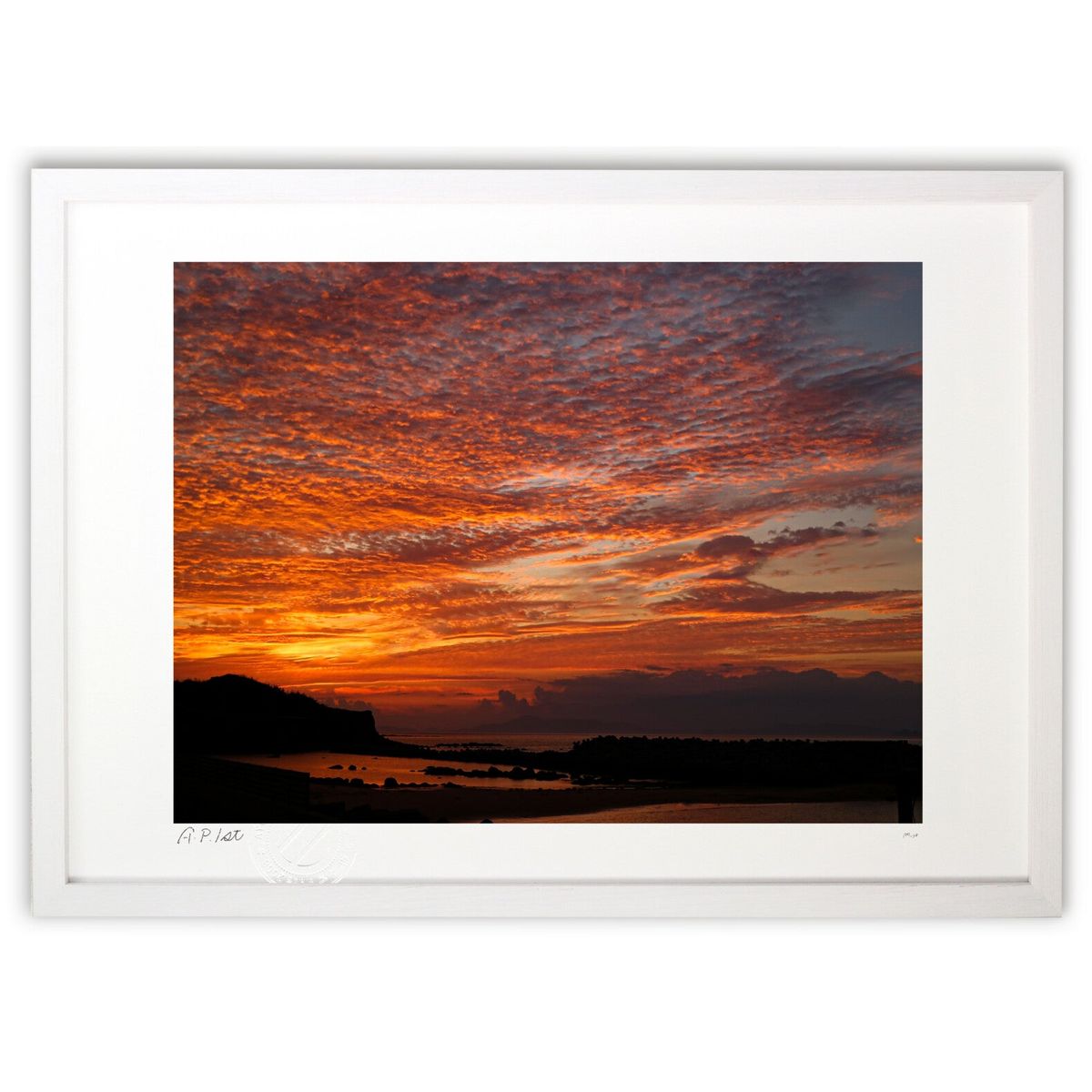 ڥѡSALEȾۡǲ Ǥ (m_y8Mami)ƥꥢ ɳݤ  ʲ ݥ  ӥ ؤ˾  ץ쥼...