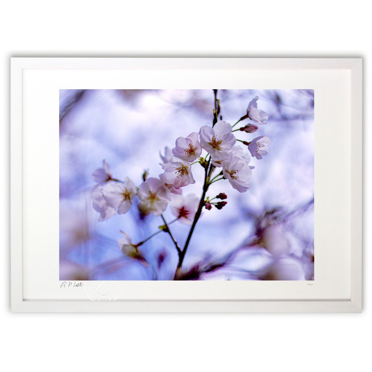 【スーパーSALE半額】版画 春のはじまり (m_y8(Mami))インテリア 壁掛け 額入り 風景画 ポスター アート リビング 玄関に飾る 風水 プレゼント...